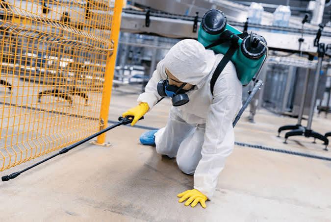 Pest Control Services